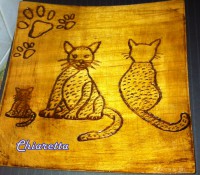 /album/galleria-fotografica/zr-jpg/